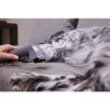 RANGE GLEAMPLUS HALI KOLTUK TEMİZLEME CİHAZI
