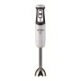 ARNİCA DIVA EL BLENDER GH21594