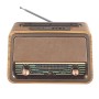 LEADER RADYO 243