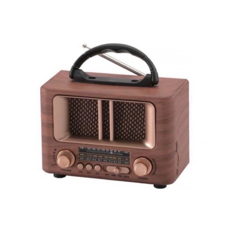 LEADER RADYO 244