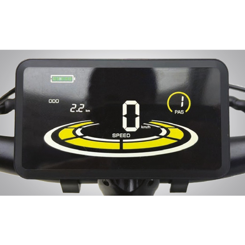 SKYJET ROBUSTO ELEKTRİKLİ BİSİKLET