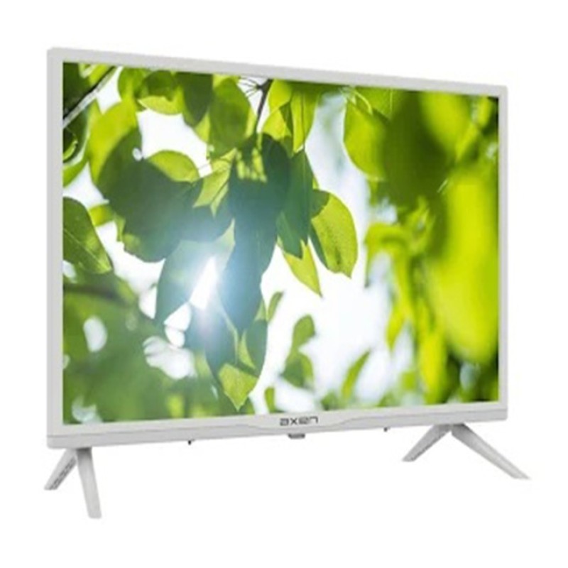 AXEN 24" 60 EKRAN UYDULU LED TELEVİZYON AX24LEDE09