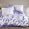 HOBBY POPLİN ÇİFT KİŞİLİK UYKU SETİ