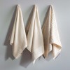 APRICITAS TULIPA 3 LÜ HAVLU SETİ 50X90
